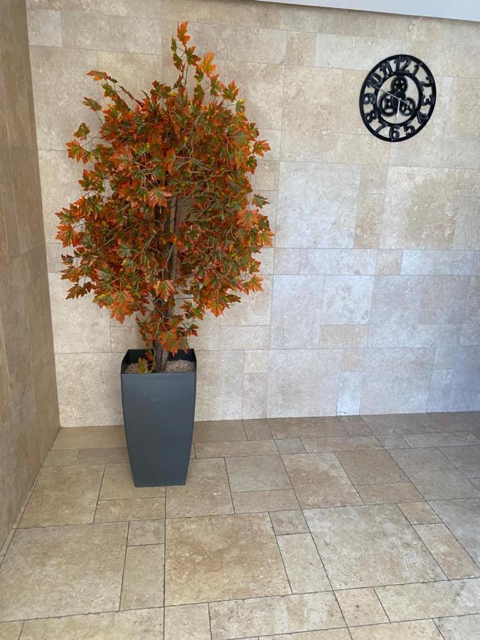 Appartamento Mobersham'S House In Acre Esterno foto